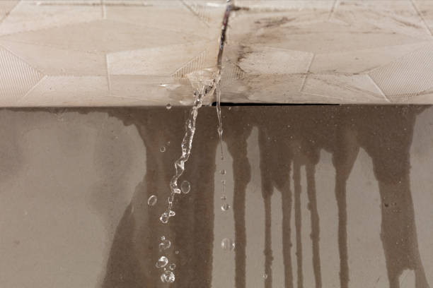 Professional Structural Drying technician working in Mohrsville, PA